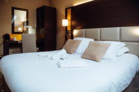 Hotel Le Dauphin - photo 6