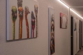 Le M Hôtel - photo 8