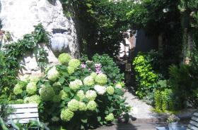 La Cour Sainte-Catherine - photo 8