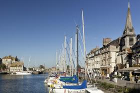 ibis Honfleur - photo 5